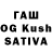 Галлюциногенные грибы GOLDEN TEACHER Jika Urumova