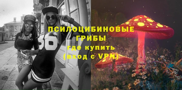 гидропоника Магас