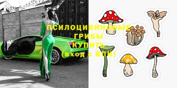 прущие грибы Майский