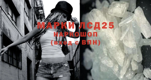 прущие грибы Майский
