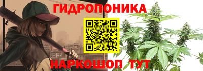 спиды Гусь-Хрустальный