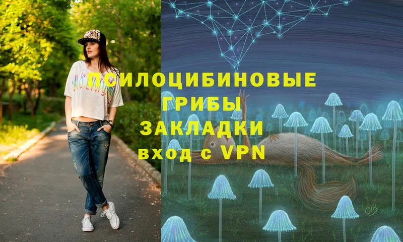 дарк нет формула  Дюртюли  Псилоцибиновые грибы Psilocybe 