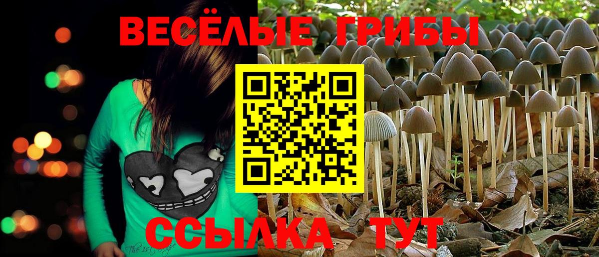 Галлюциногенные грибы MAGIC MUSHROOMS  Вход с VPN  Дюртюли  Галлюциногенные грибы GOLDEN TEACHER 