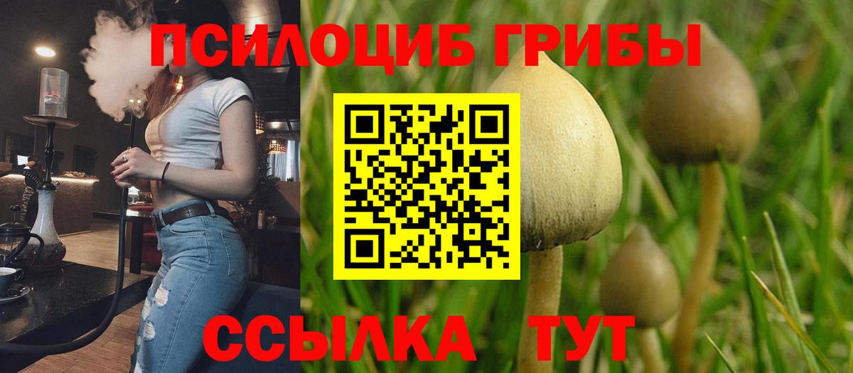 Псилоцибиновые грибы мухоморы Дюртюли